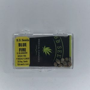 BB Seeds Blue Fire