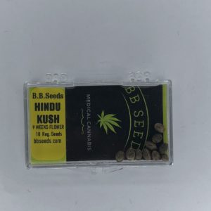 BB Seeds Hindu Kush