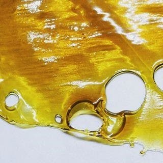 concentrate-bear-dance-shatter-67-7-25-thc