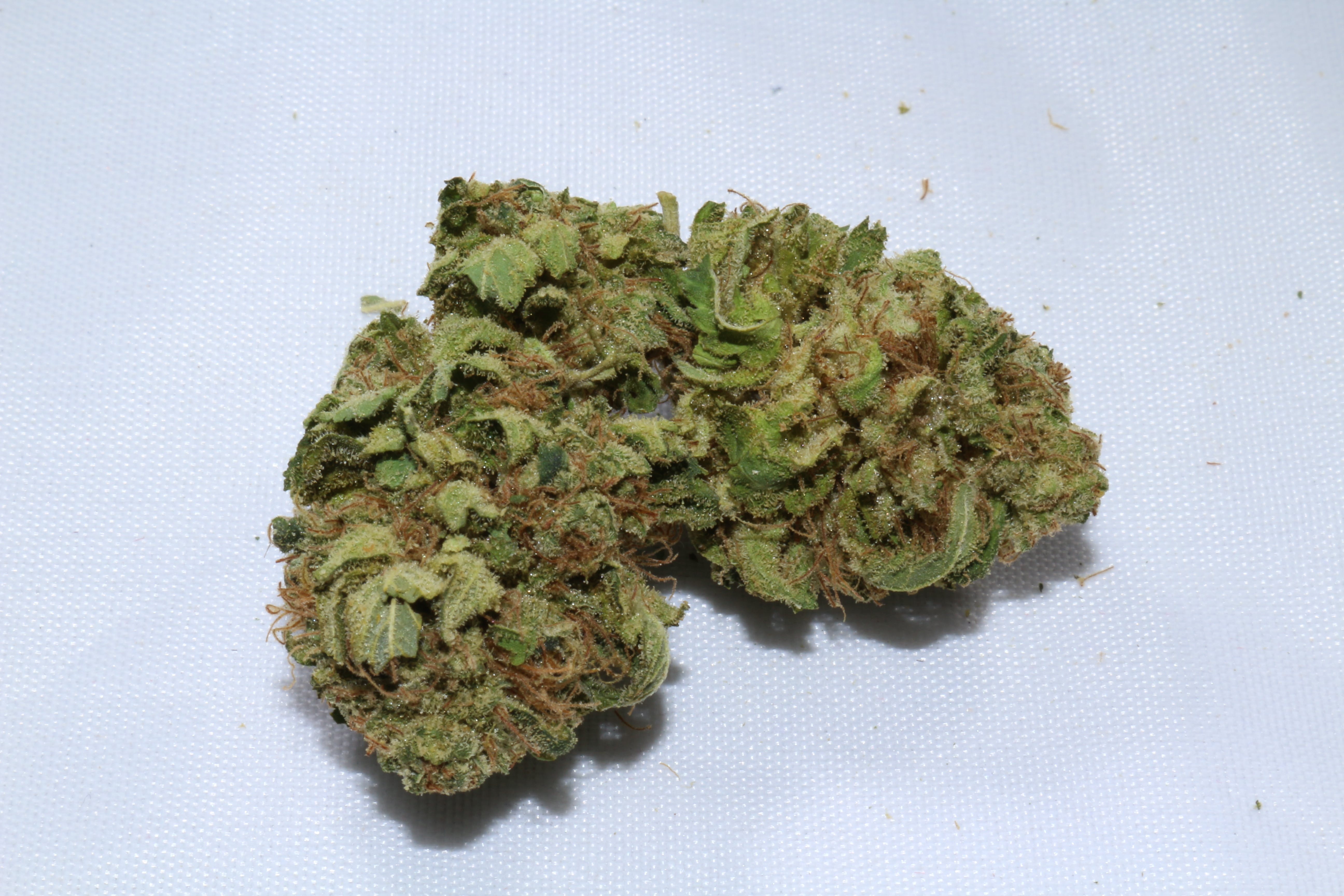 marijuana-dispensaries-green-degree-machen-in-wasilla-berry-bomb