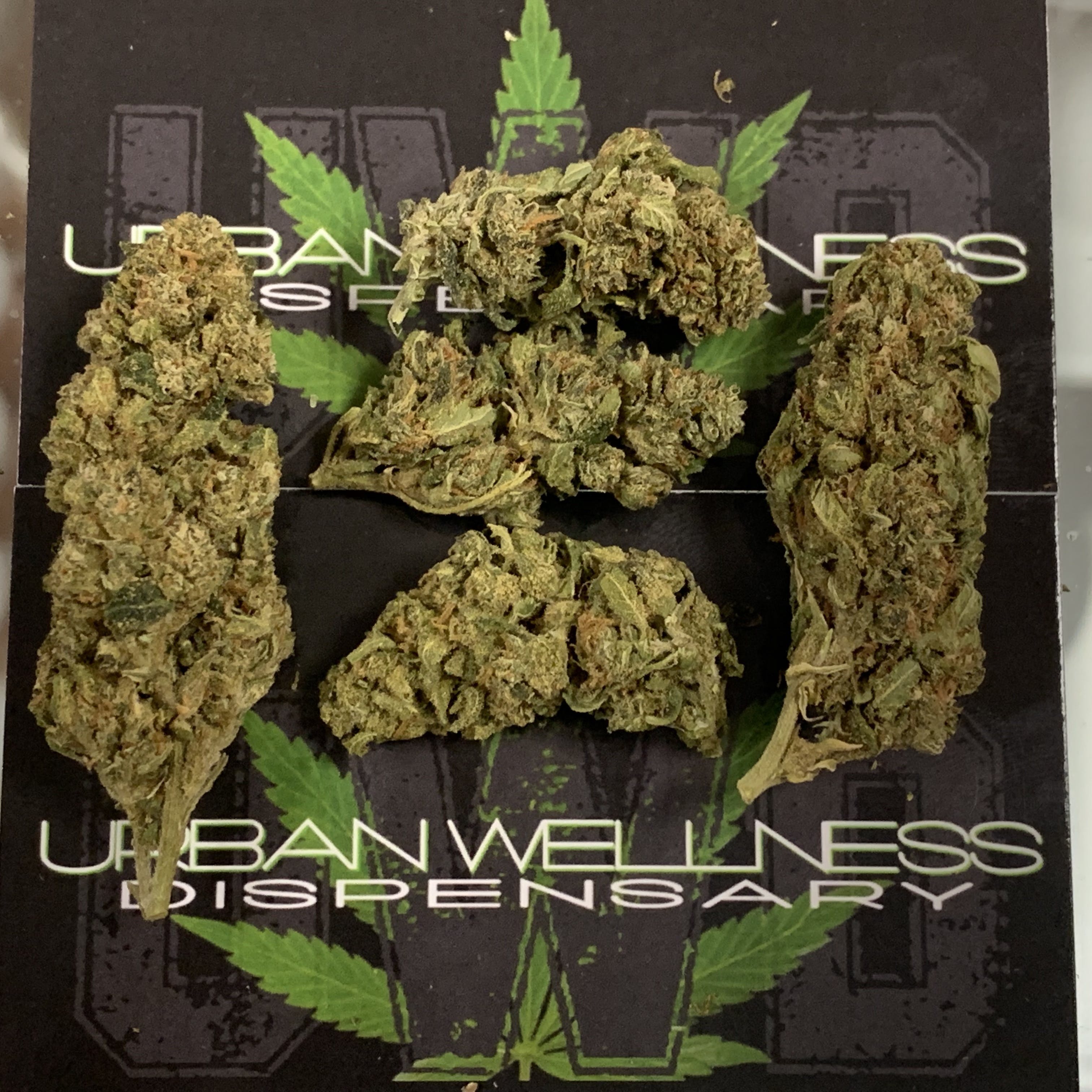 marijuana-dispensaries-1515-ne-23rd-st-oklahoma-city-berry-og