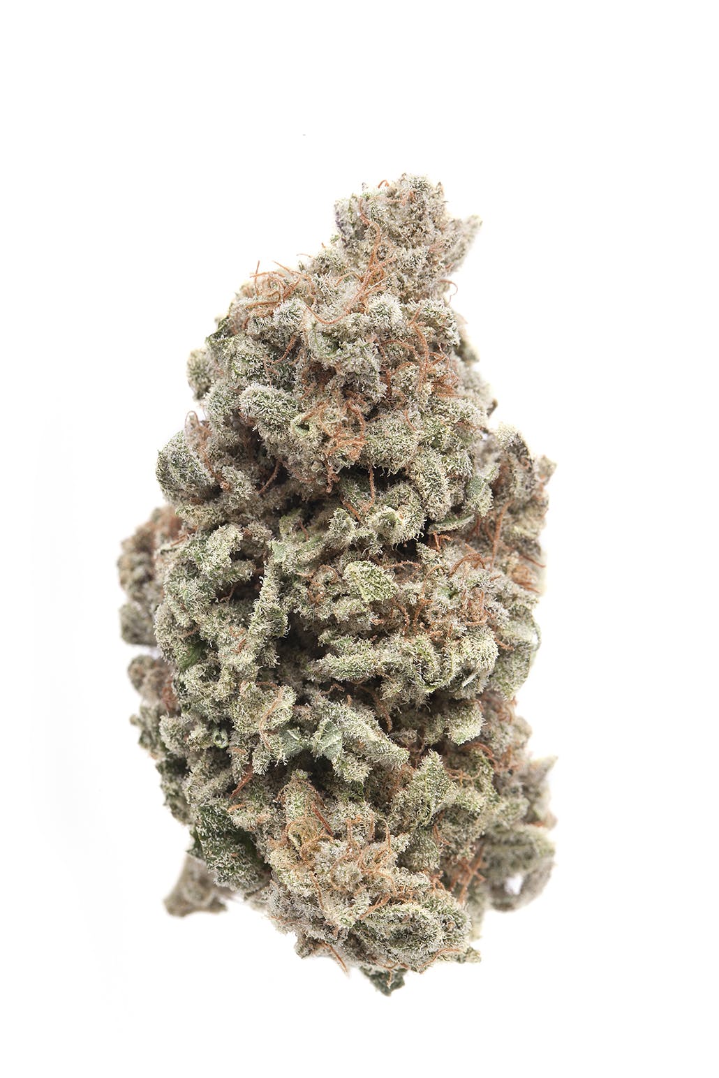 marijuana-dispensaries-979-n-la-brea-ave-los-angeles-berry-white-by-passiflora