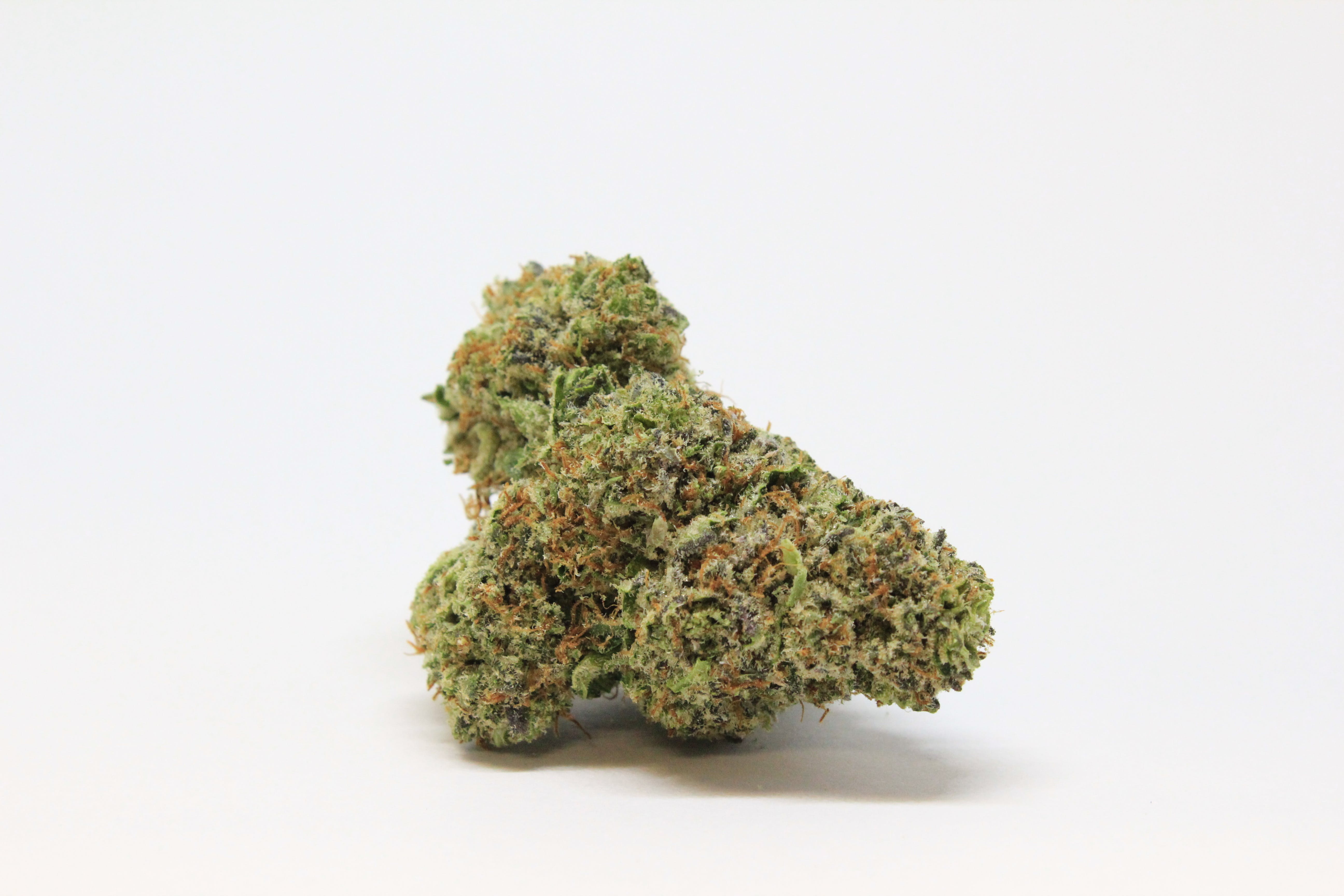 marijuana-dispensaries-kaya-cannabis-colfax-med-in-denver-better-than-bubba-18