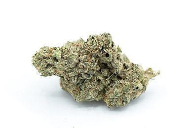 marijuana-dispensaries-8157-wing-ave-el-cajon-beyond-blueberry-wonderbrett