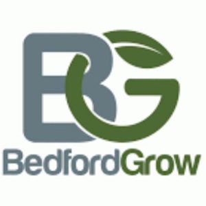 BG Bedford Glue