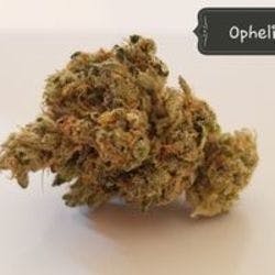 marijuana-dispensaries-4570-s-archer-ave-chicago-bg-shake-ophelia