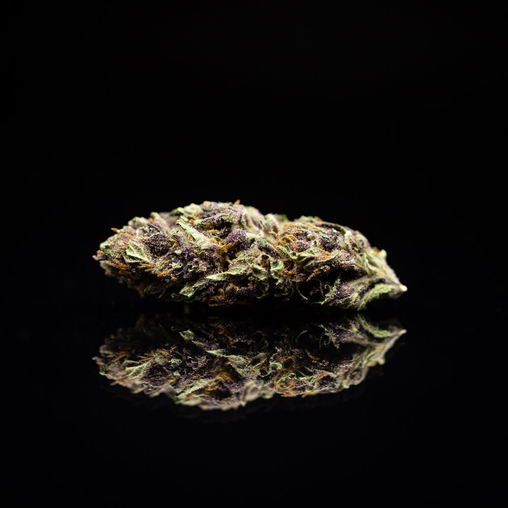 marijuana-dispensaries-843-howard-st-san-francisco-big-black-11-89-25-thc