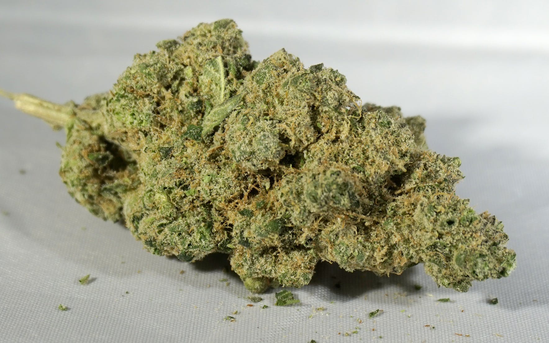 marijuana-dispensaries-1537-pearl-st-unit-b-boulder-big-bubba-og-select