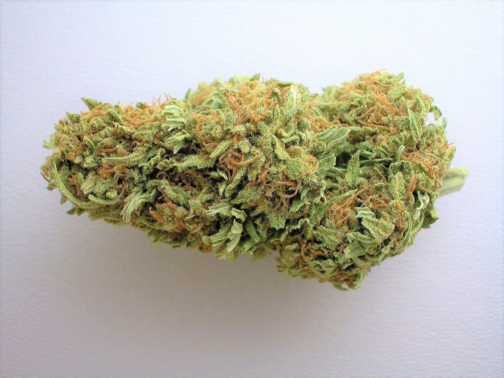 marijuana-dispensaries-1661-north-e-street-san-bernardino-big-buds-og