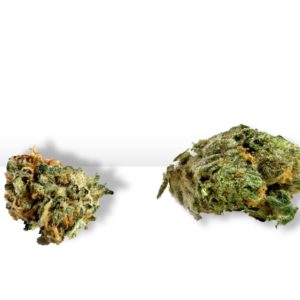 Big Smooth - 1/2 Ounce Popcorn Buds (Pre-Packed)