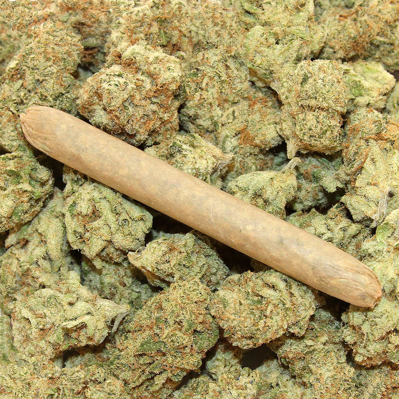marijuana-dispensaries-4218-mission-street-san-francisco-big-smooth-pre-roll-ck-endeavors