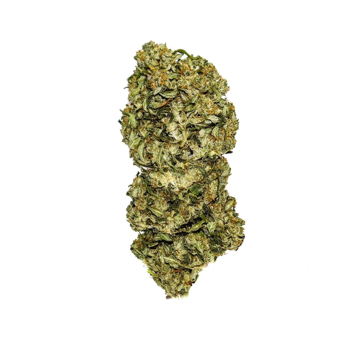 marijuana-dispensaries-8639-toloff-street-anchorage-bird-cbd