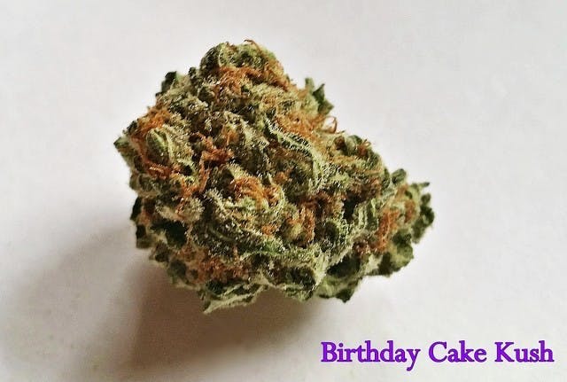 marijuana-dispensaries-3019-toupal-drive-trinidad-birthday-cake-hybrid-17-00-25