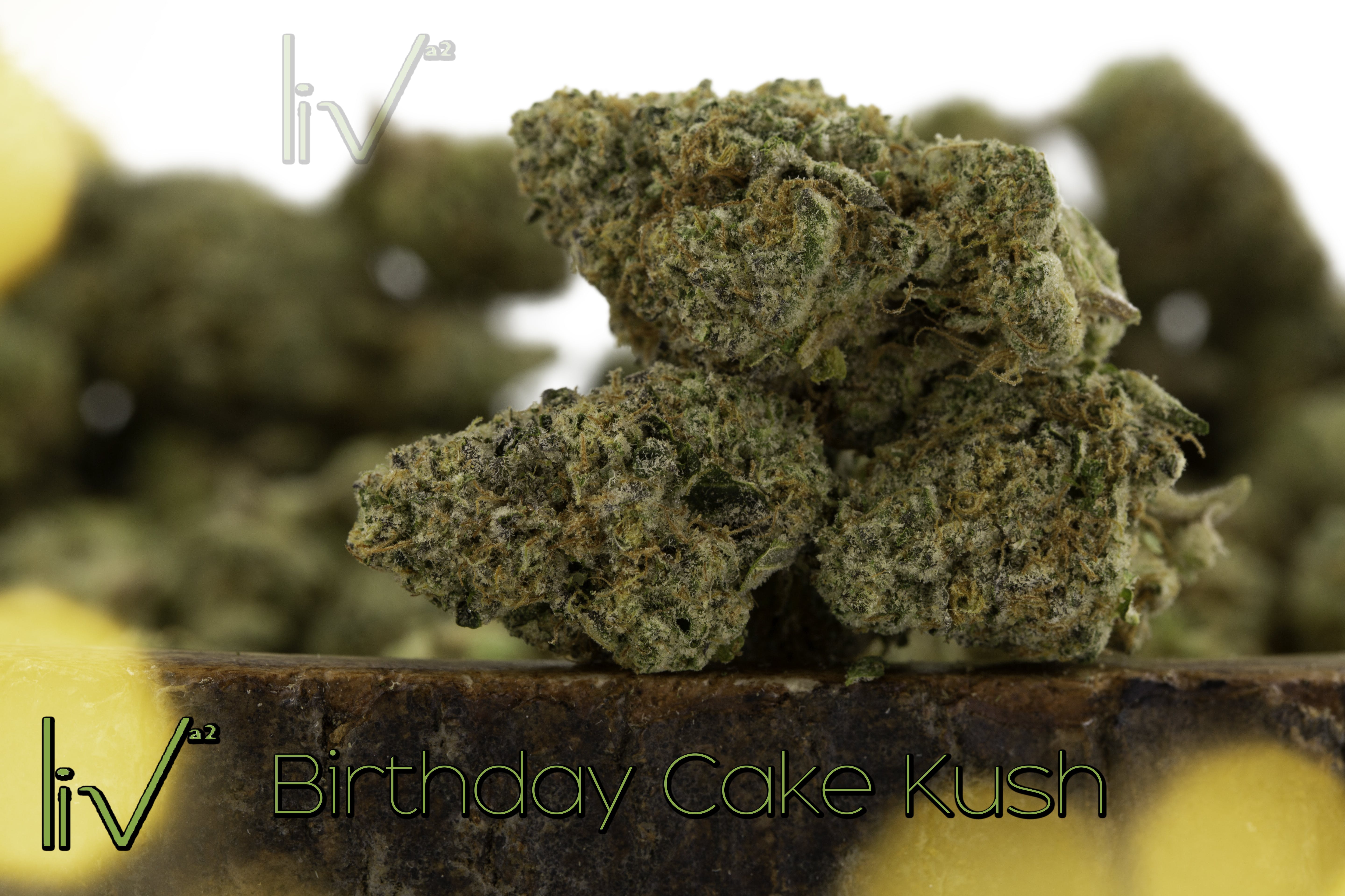 hybrid-birthday-cake-kush-hybrid-indica