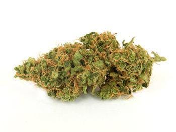 marijuana-dispensaries-4845-van-gordon-st-wheat-ridge-bisou-tax-included