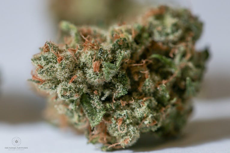 marijuana-dispensaries-4497-ute-highway-longmont-black-cherry-soda-24-56-25
