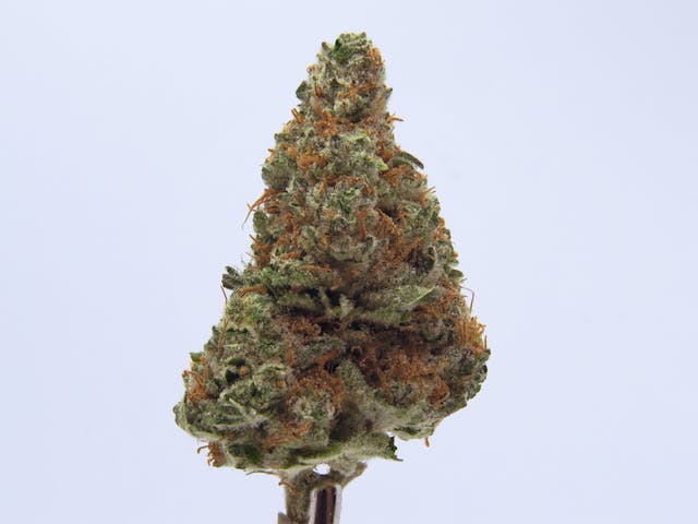 marijuana-dispensaries-2600-spenard-rd-anchorage-black-d-o-g-by-top-hat-cannabis