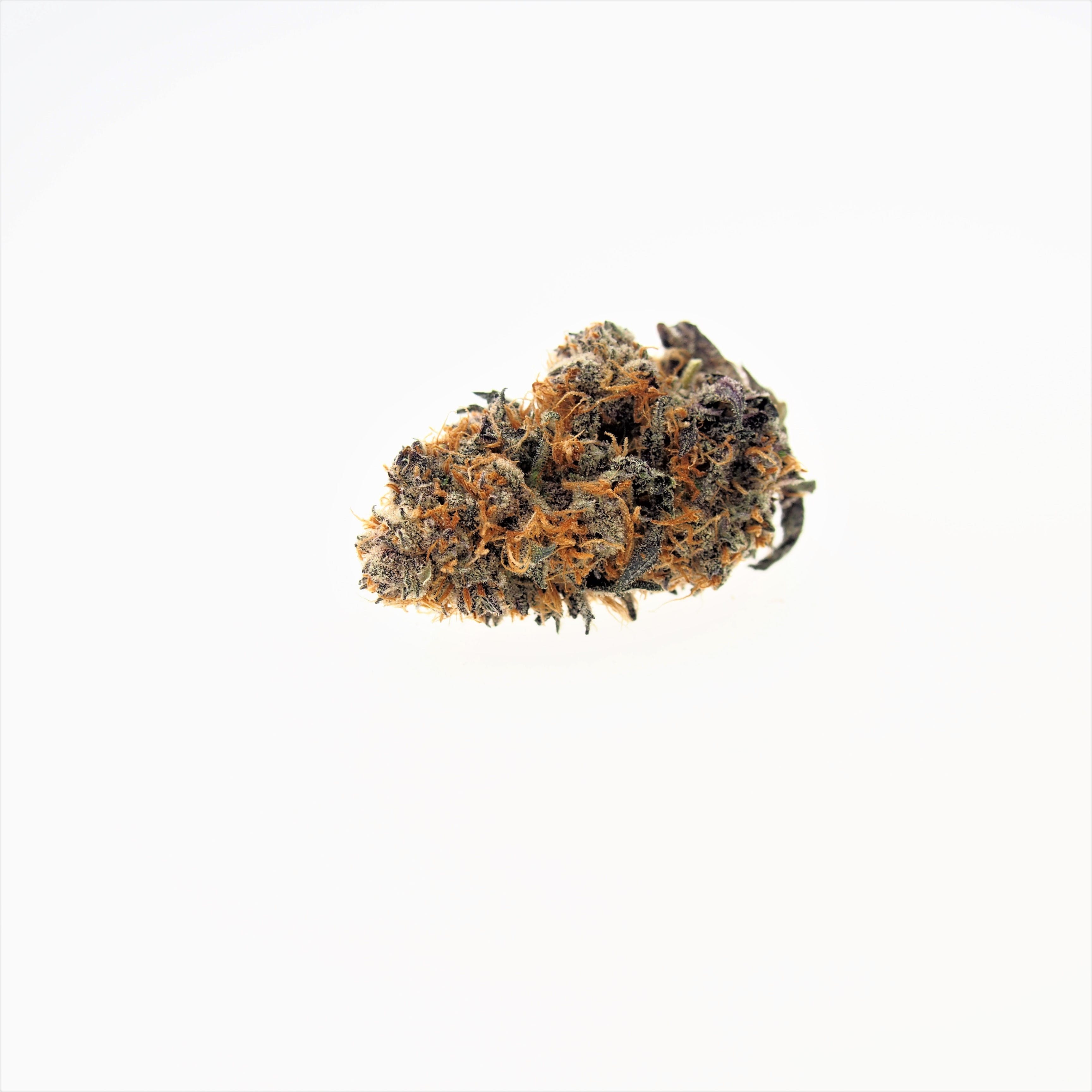 marijuana-dispensaries-338-s-ashley-street-ann-arbor-black-dog-organic