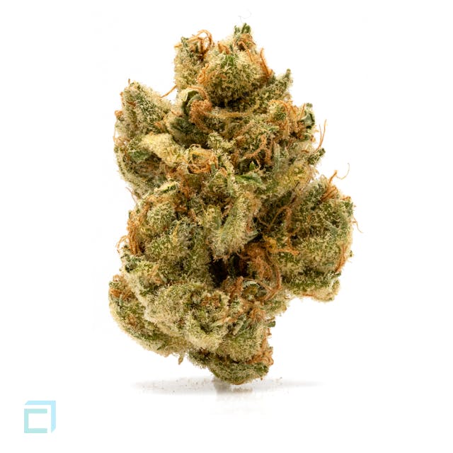 marijuana-dispensaries-2551-colorado-blvd-los-angeles-black-jack-nativ