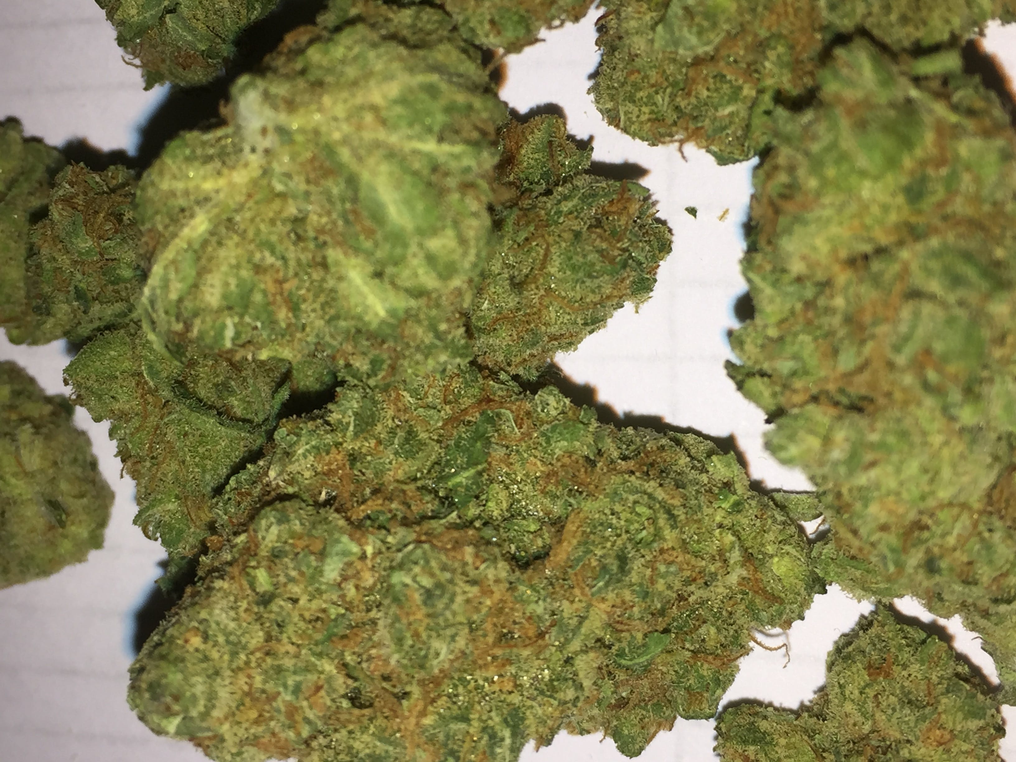 marijuana-dispensaries-herbs-and-essential-oils-in-hemet-black-jack