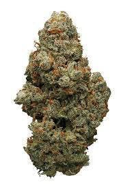 marijuana-dispensaries-24990-alessandro-blvd-unit-h-moreno-valley-black-label-pineapple-jack