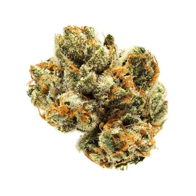 marijuana-dispensaries-24990-alessandro-blvd-unit-h-moreno-valley-black-label-pure-og