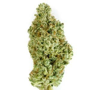 marijuana-dispensaries-24990-alessandro-blvd-unit-h-moreno-valley-black-label-xxx-glue-og