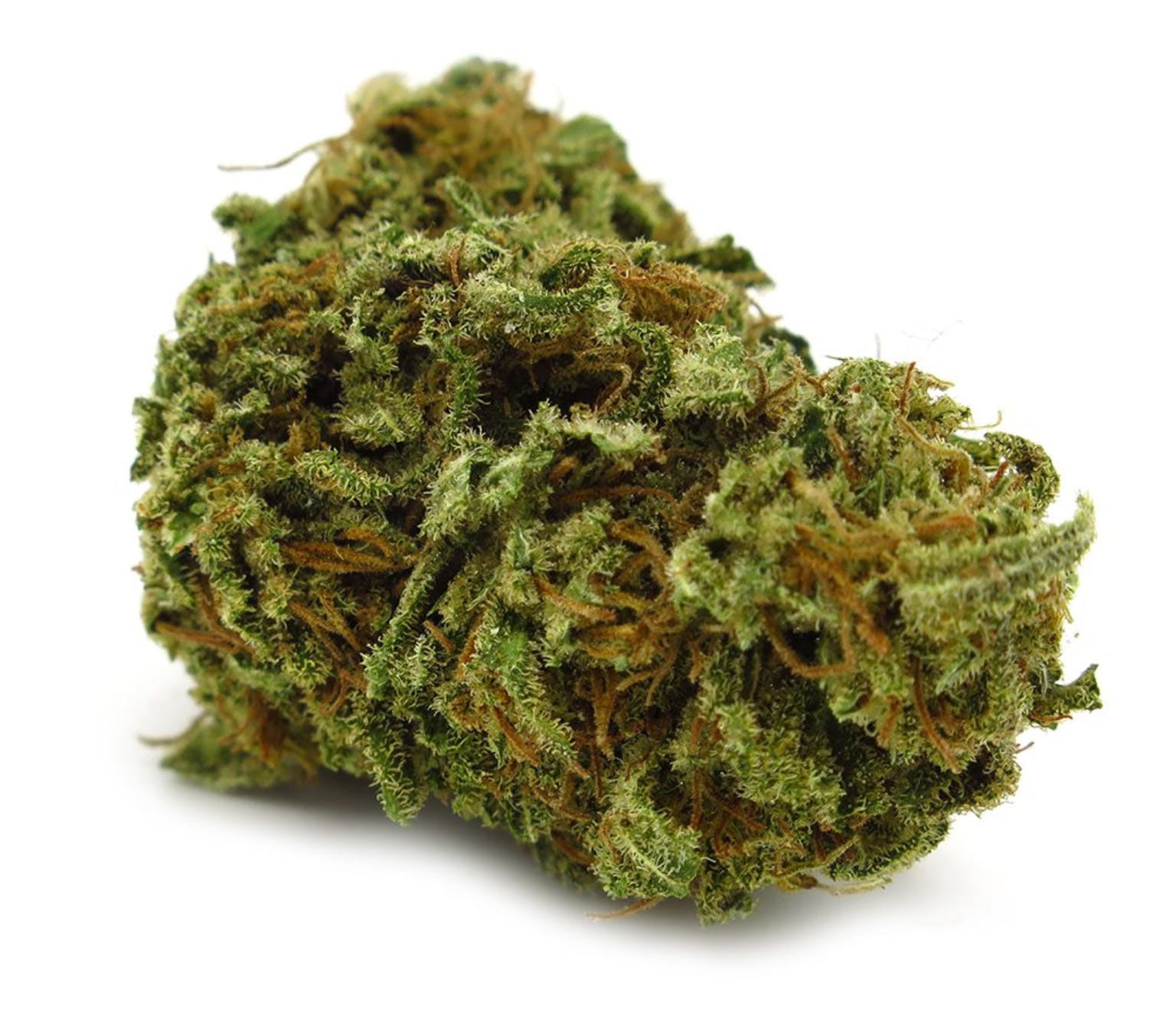 marijuana-dispensaries-7520-foothill-blvd-tujunga-black-lime-dogo