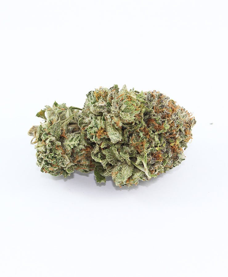 marijuana-dispensaries-318-queenston-rd-hamilton-black-nuken-by-gone-gorilla-farms
