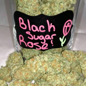 Black Sugar Rose (Indoor)