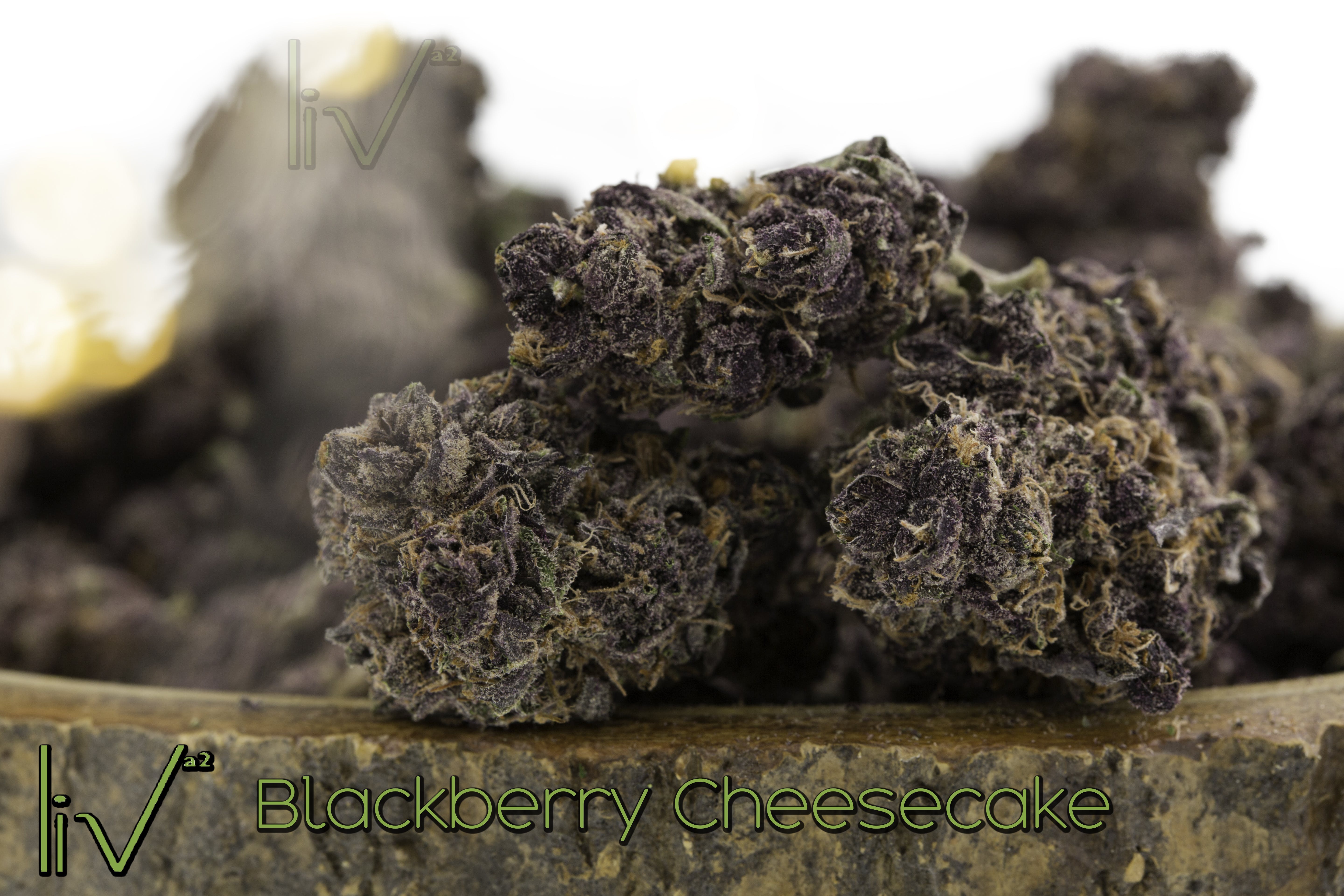 hybrid-blackberry-cheesecake-hybrid-indica