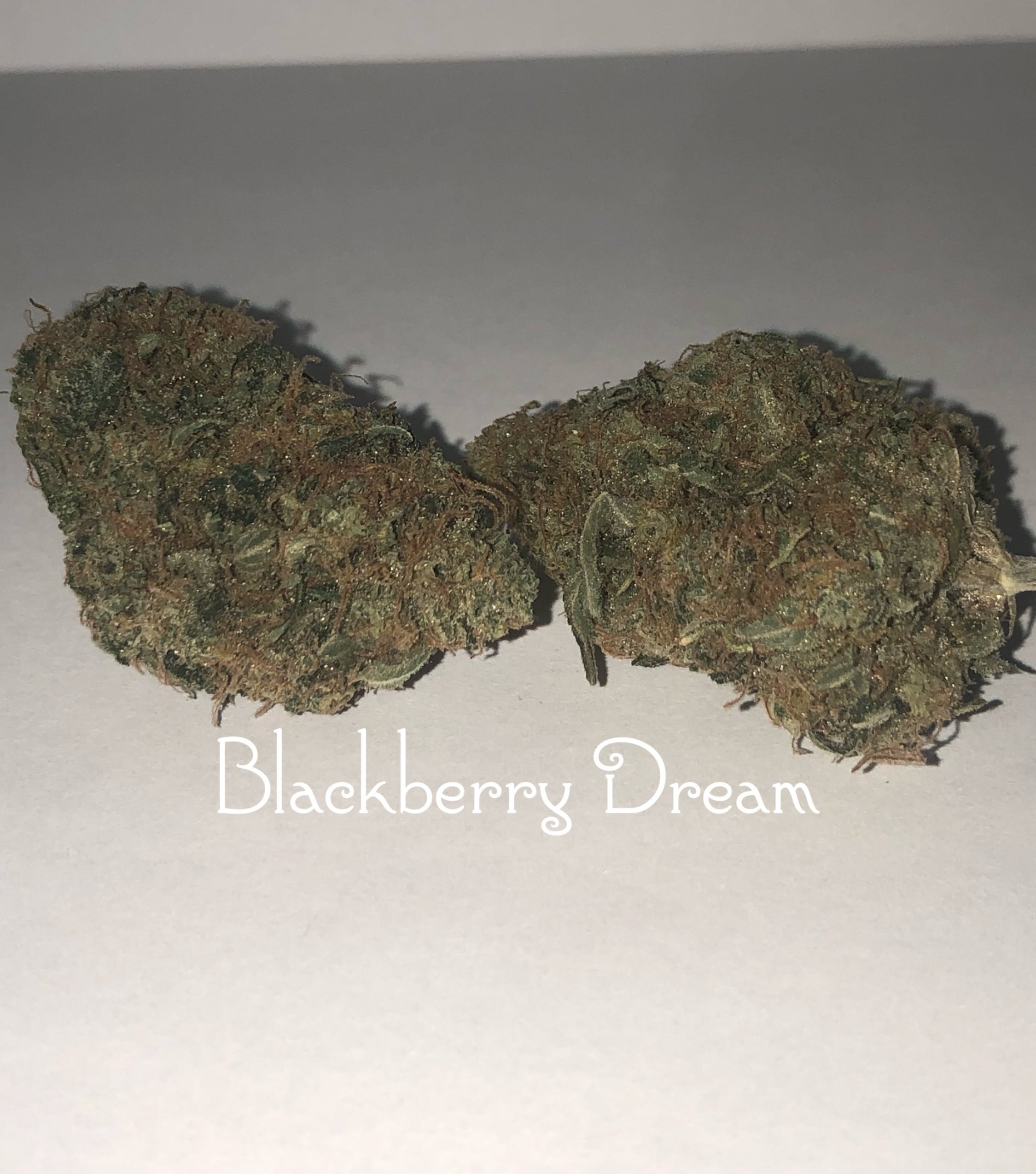 marijuana-dispensaries-9030-n-saignaw-mt-morris-blackberry-dream
