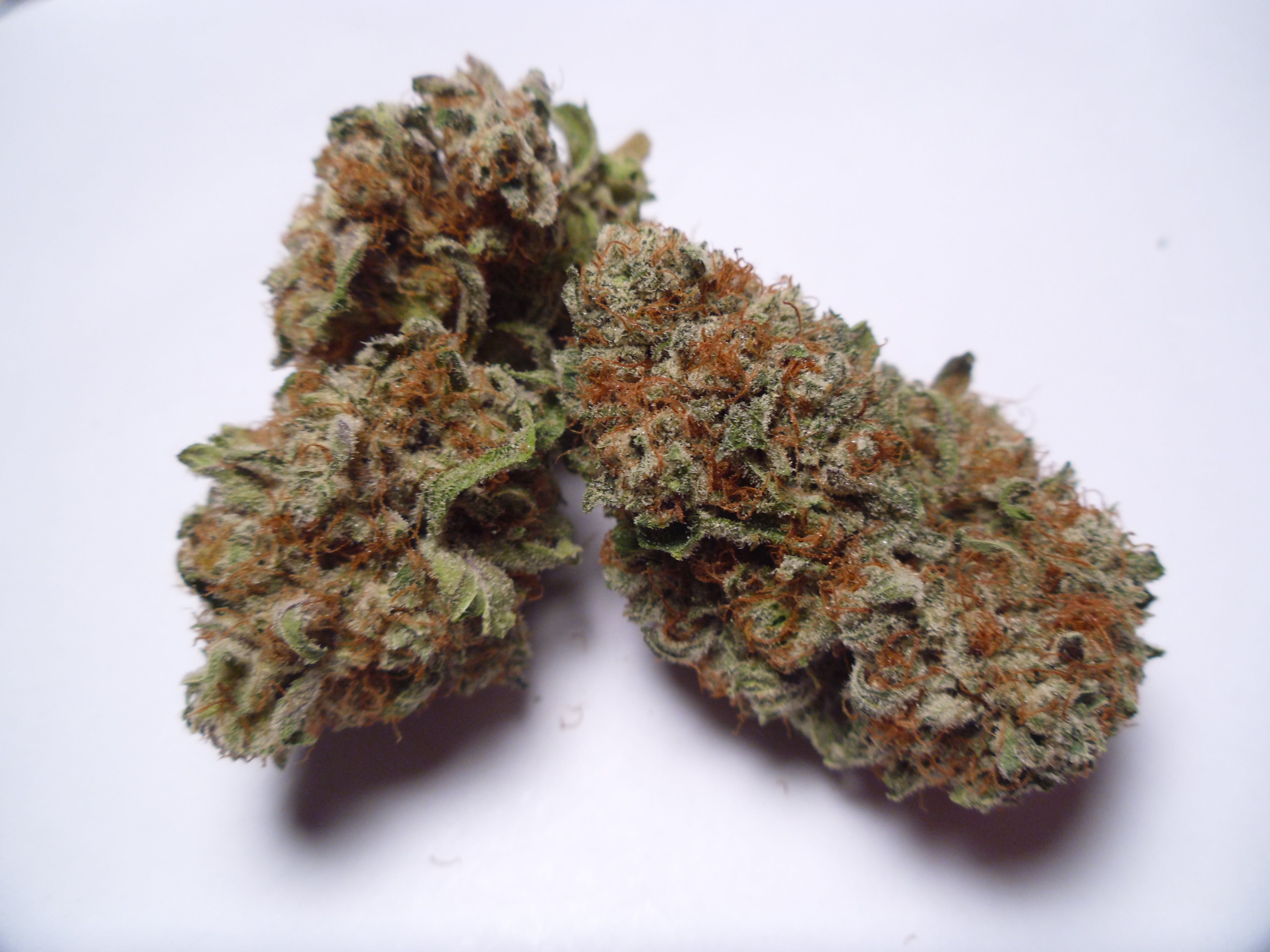 marijuana-dispensaries-1324-3rd-street-las-vegas-blackberry-kush-real-sun-grown