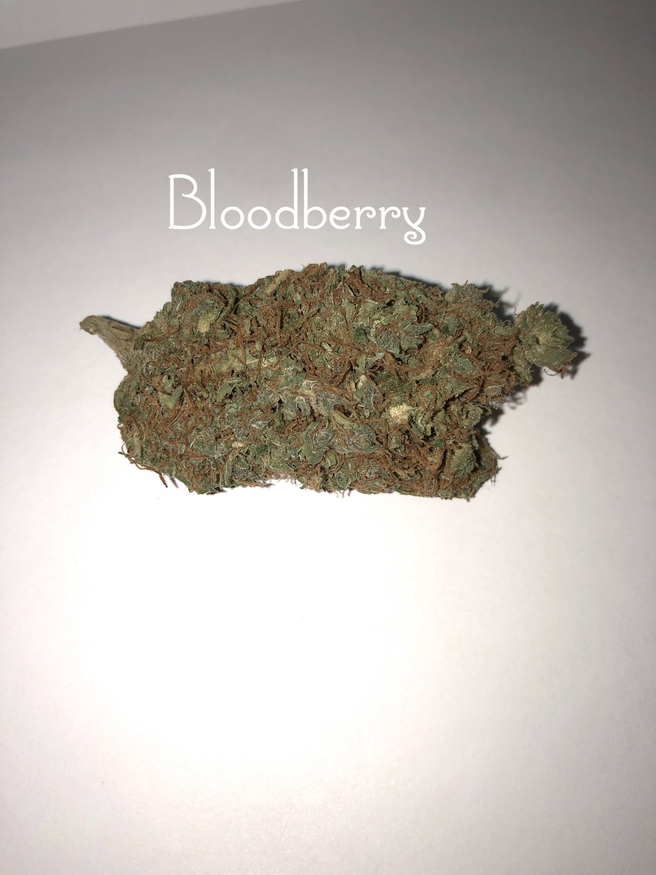 indica-blood-berry