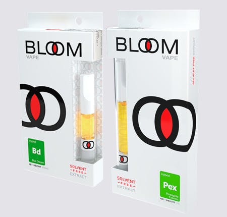 concentrate-bloomblue-dream
