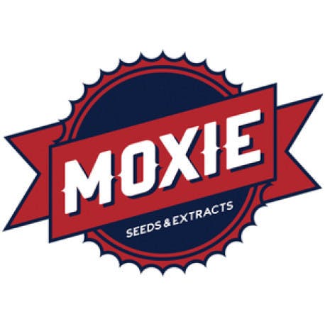 Blucifer X Grappa Live Resin THC-A (Moxie)