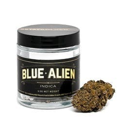 indica-blue-alien-green-and-gold
