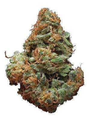 Blue Cheese - Green & Gold