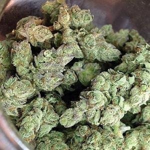 Blue Cheese - Green and Gold