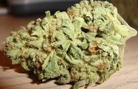 marijuana-dispensaries-11638-victory-blvd-north-hollywood-blue-cheese-kush
