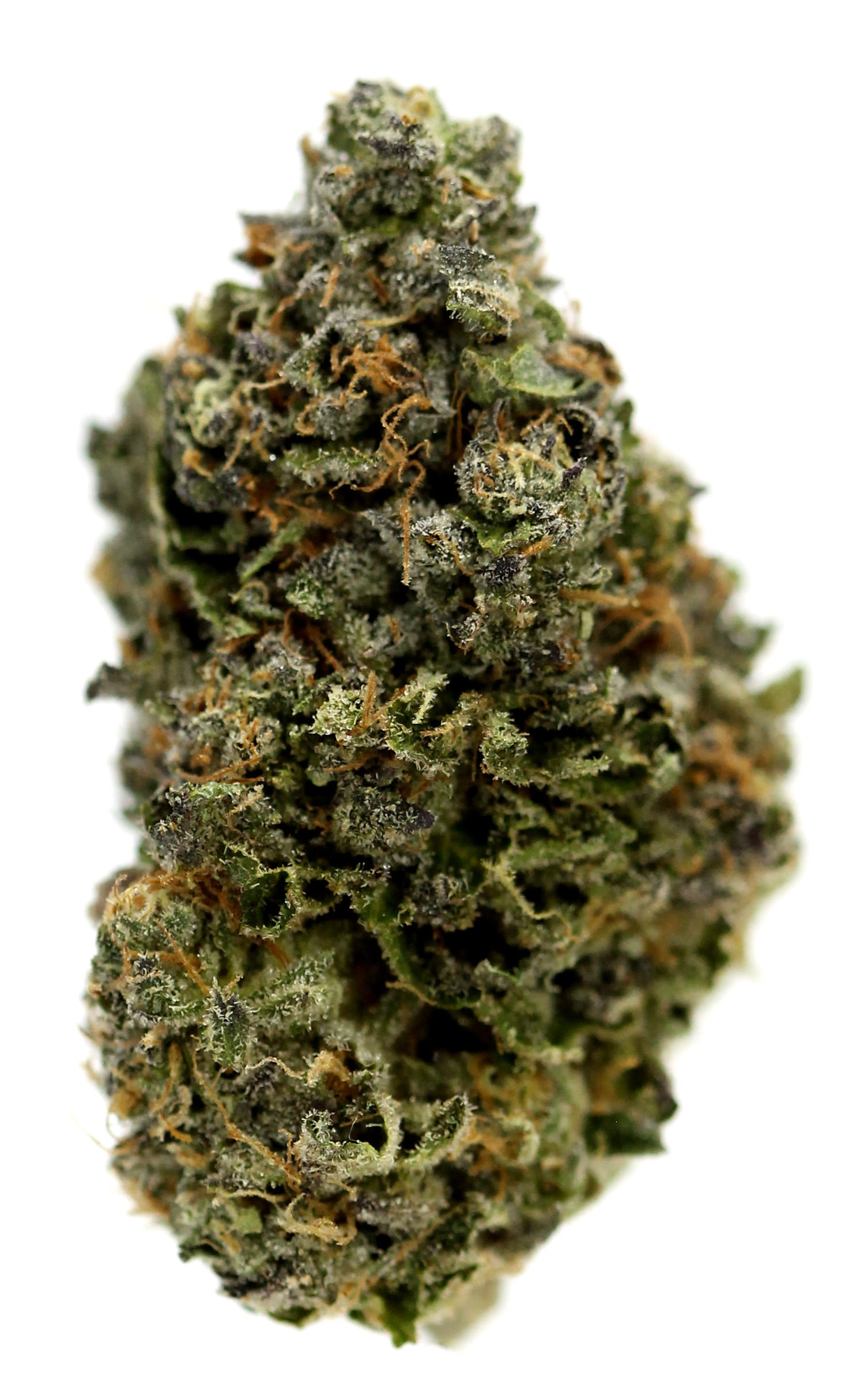 marijuana-dispensaries-752-commercial-st-2320-san-jose-blue-chip-genetics-gelato-22-67-25thca