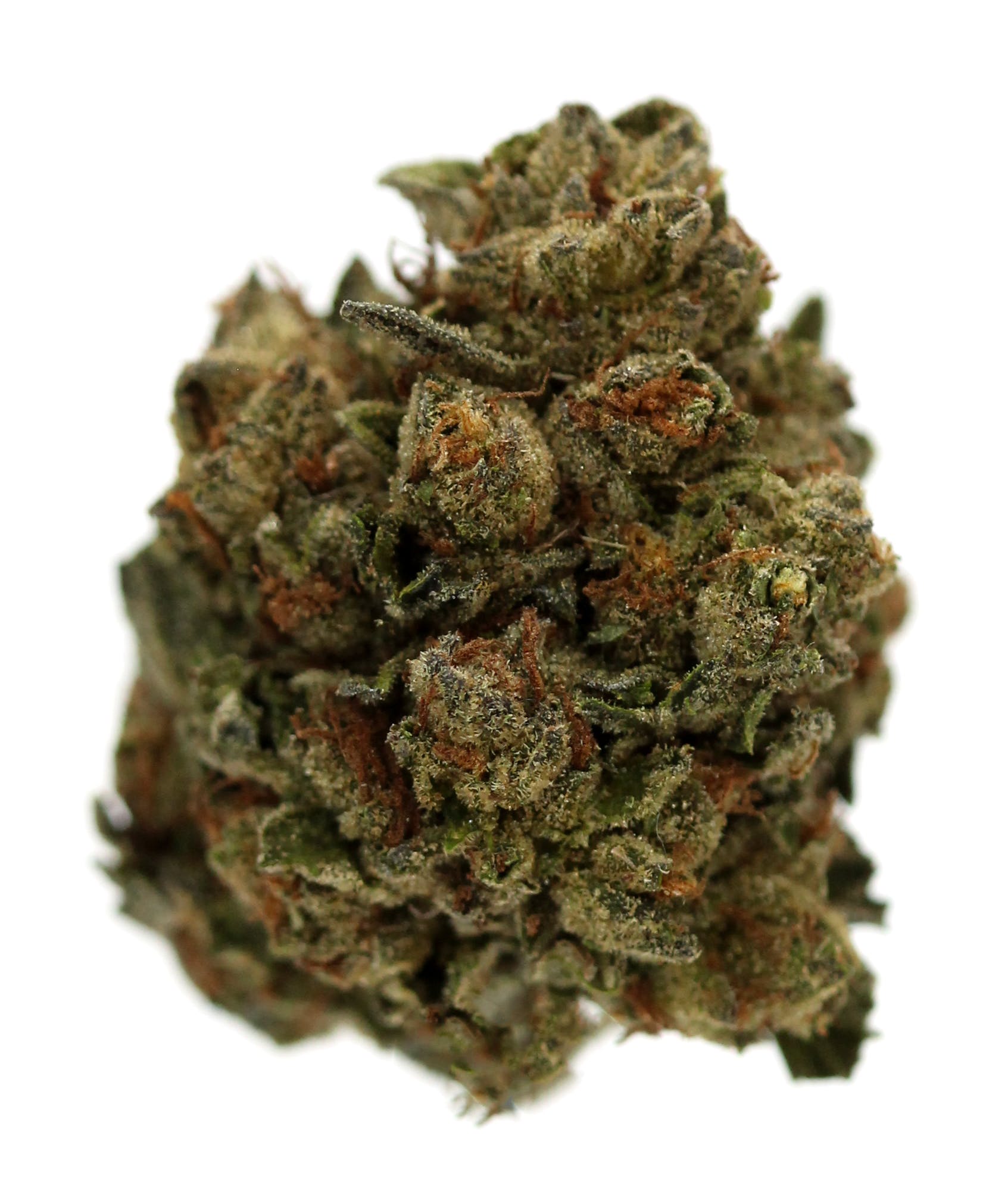 marijuana-dispensaries-752-commercial-st-2320-san-jose-blue-chip-natural-cookies-20-78-25-thca