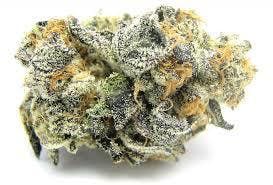 marijuana-dispensaries-3321-i25-south-pueblo-blue-cookies-retail-silver-shelf-24128-oz