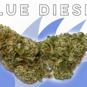 Blue Diesel - from Shore Natural Rx