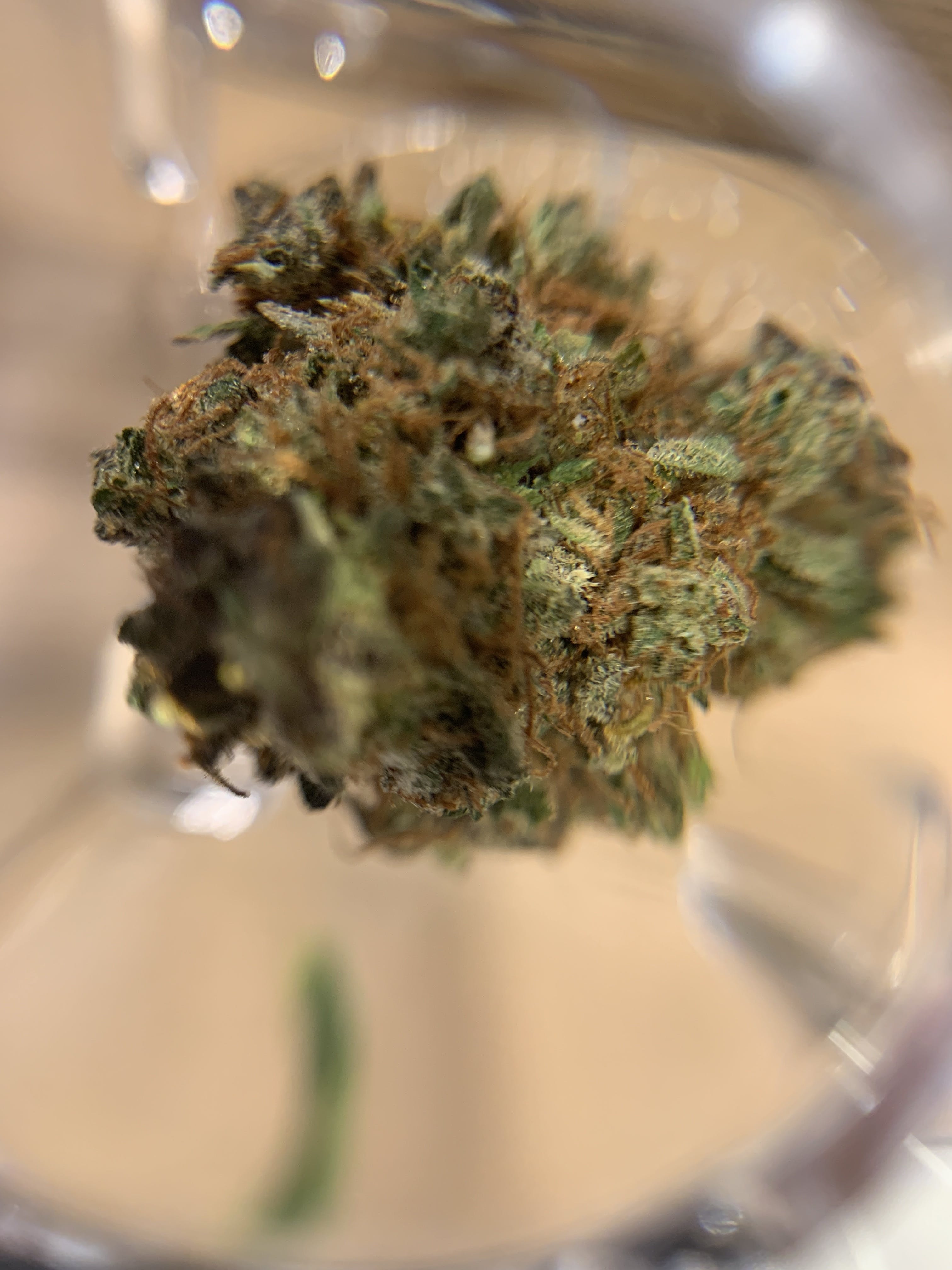 marijuana-dispensaries-organic-greens-collective-in-goleta-blue-diesel