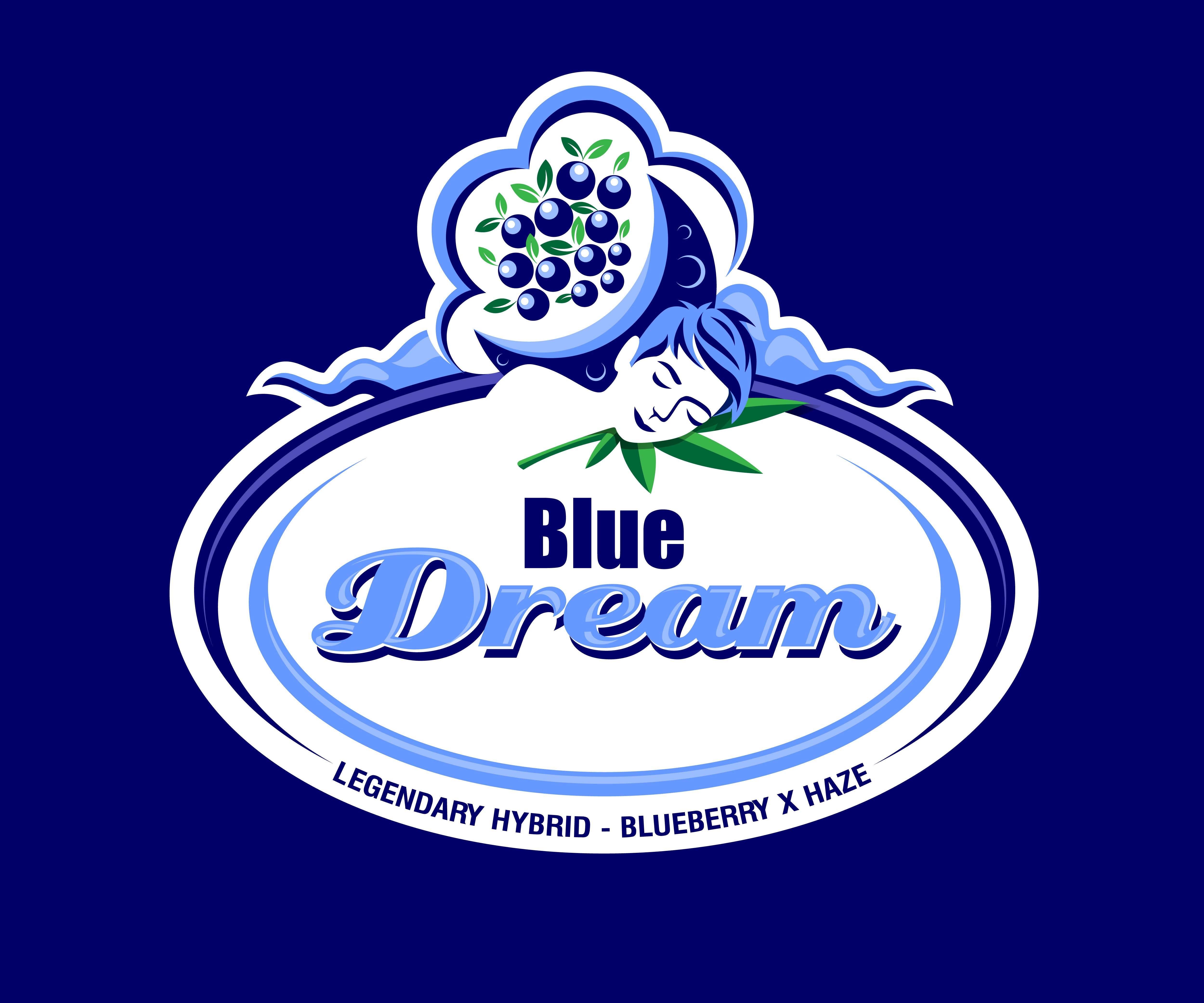 preroll-dutchie-blue-dream-dutchie