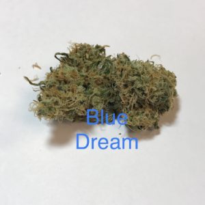 Blue Dream- Sativa Dominant Hybrid