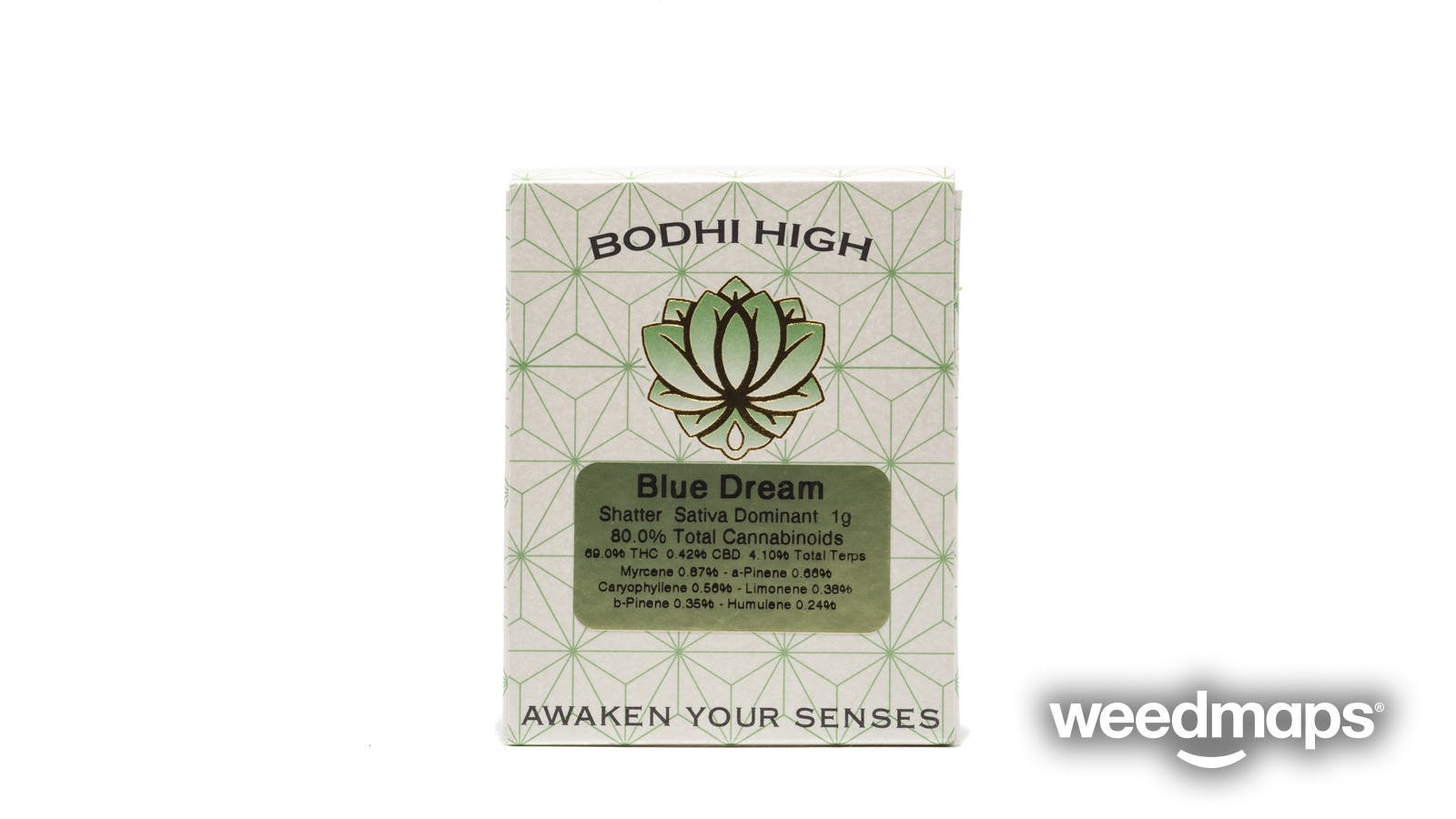 concentrate-blue-dream-shatter-80-25-bodhi-high