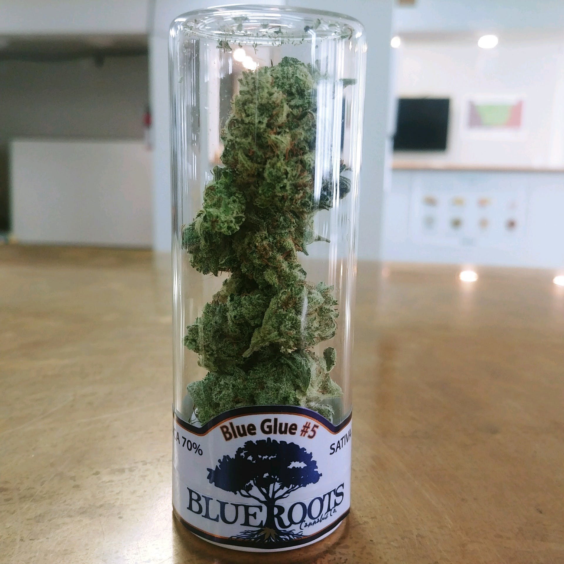 Blue Glue #5 by Blue Roots