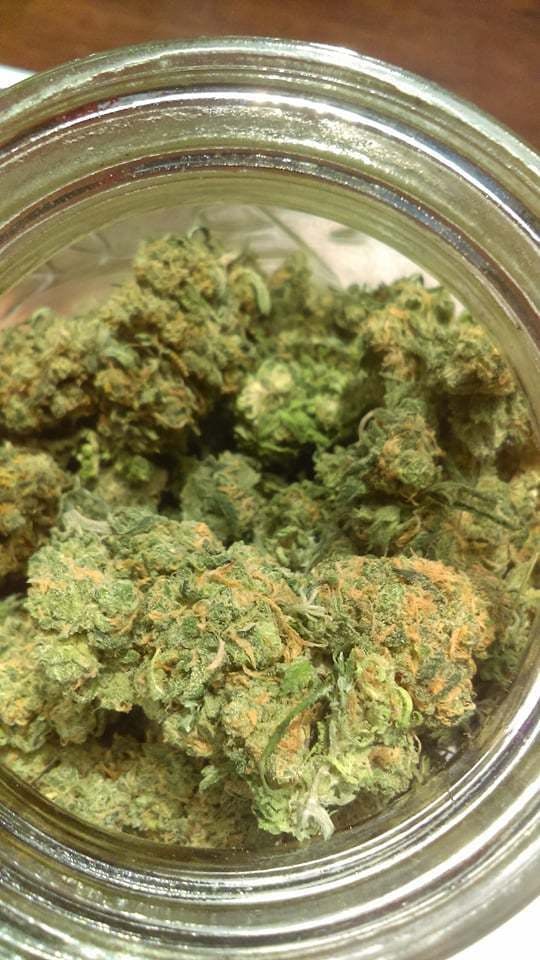 marijuana-dispensaries-7550-tampa-ave-unit-23f-reseda-blue-ivy-24130-oz-special